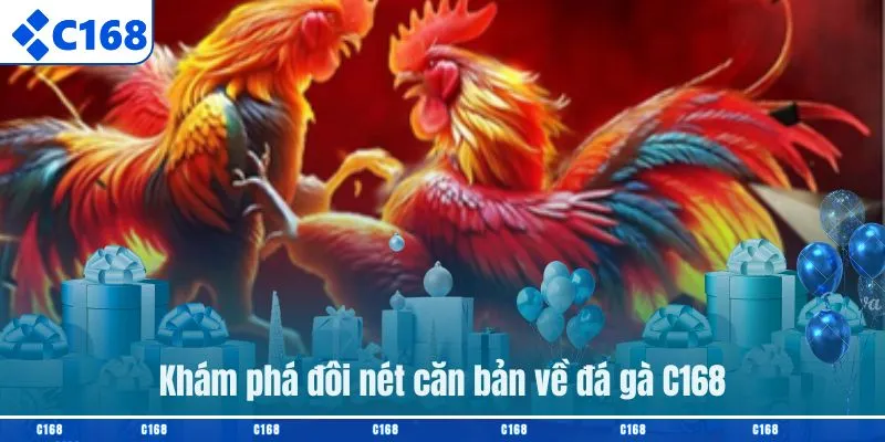 Khám phá đôi nét căn bản về đá gà C168